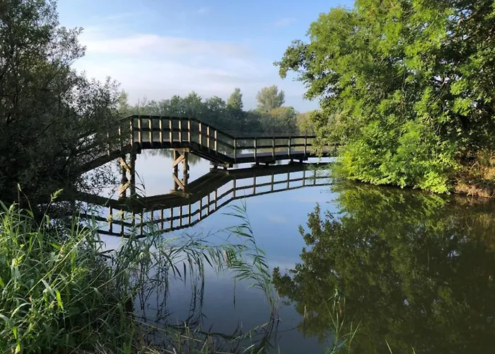 588 Op Recreatiepark De Wielen 木屋