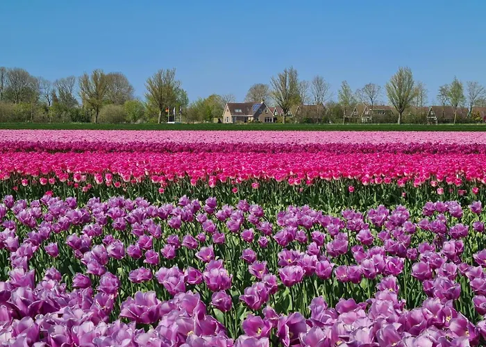 588 Op Recreatiepark De Wielen Chalet *